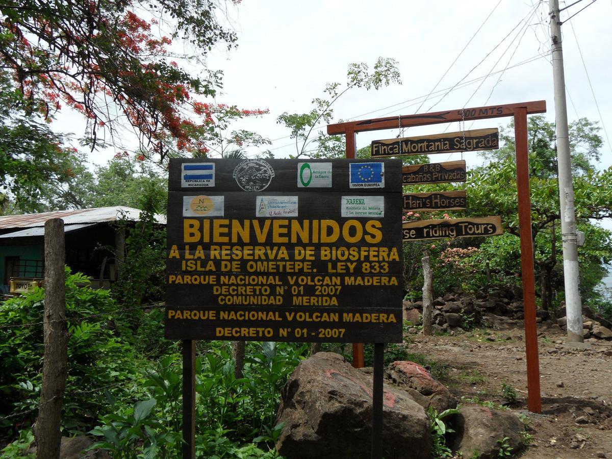 Finca Montana Sagrada Bed & Breakfast Merida Exterior photo