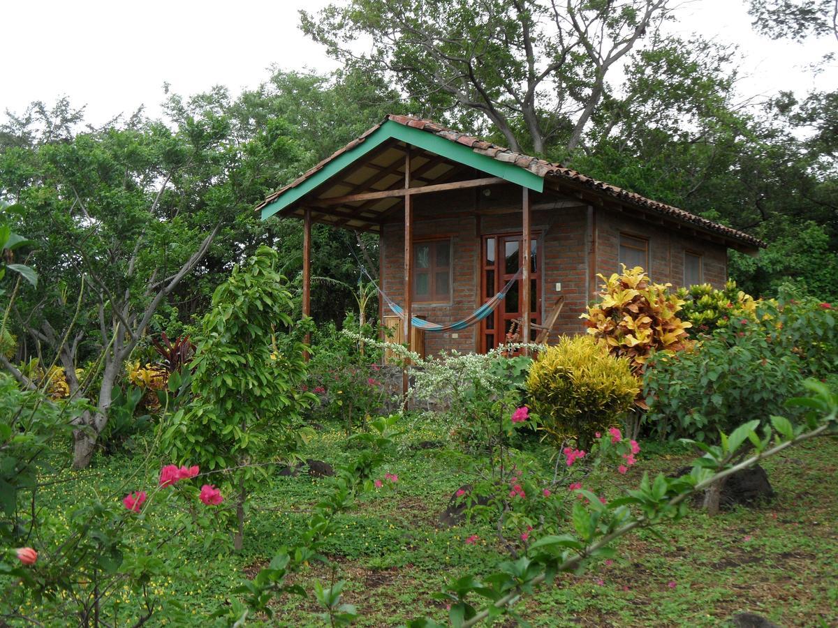 Finca Montana Sagrada Bed & Breakfast Merida Exterior photo